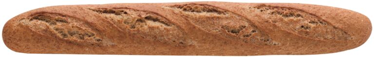 BAGUETTE INTEGRAL (SALVADO) 220 GR.