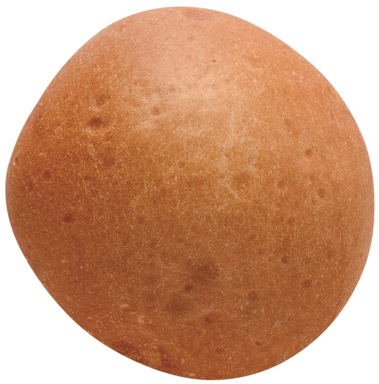PAN HAMBURGUESA 70 GR.